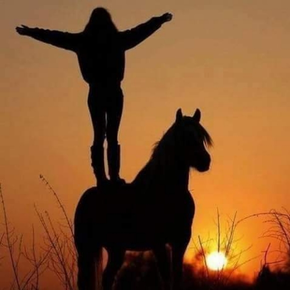 🧿Meet your Posher, Cowgirl - Picture 1 of 3